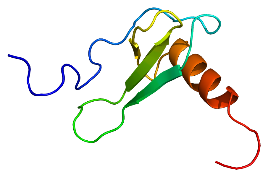 Structure of the CCL11 protein. Based on PyMOL rendering of PDB