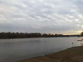 ヴィスワ川