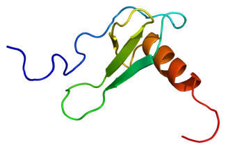 Structure of the CCL11 protein. Based on PyMOL rendering of PDB