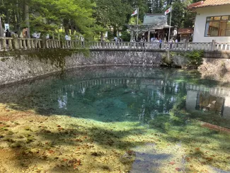 別府弁天池