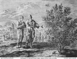 File:Teachings of Jesus 5 of 40. parable of the mustard seed. Jan Luyken etching. Bowyer Bible.gif