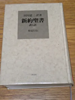 新約聖書 訳と註 第二巻下 使徒行伝
