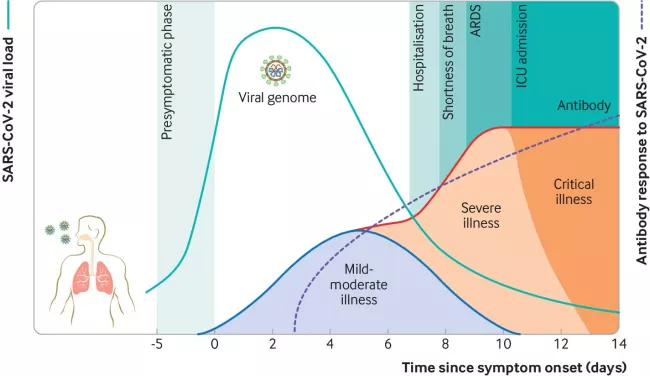 Figure 2 - Virology, transmission, and pathogenesis of SARS-CoV-2