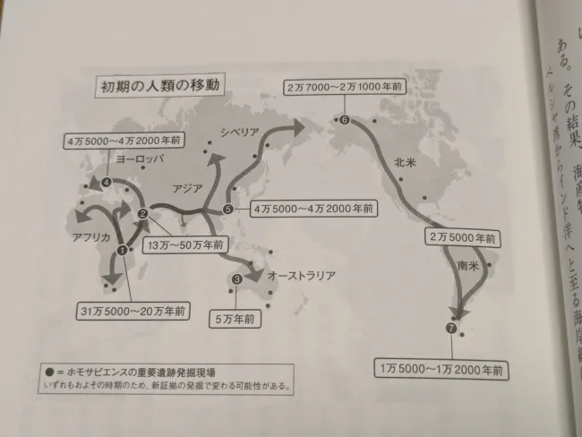 P39 ホモ・サピエンスの移動